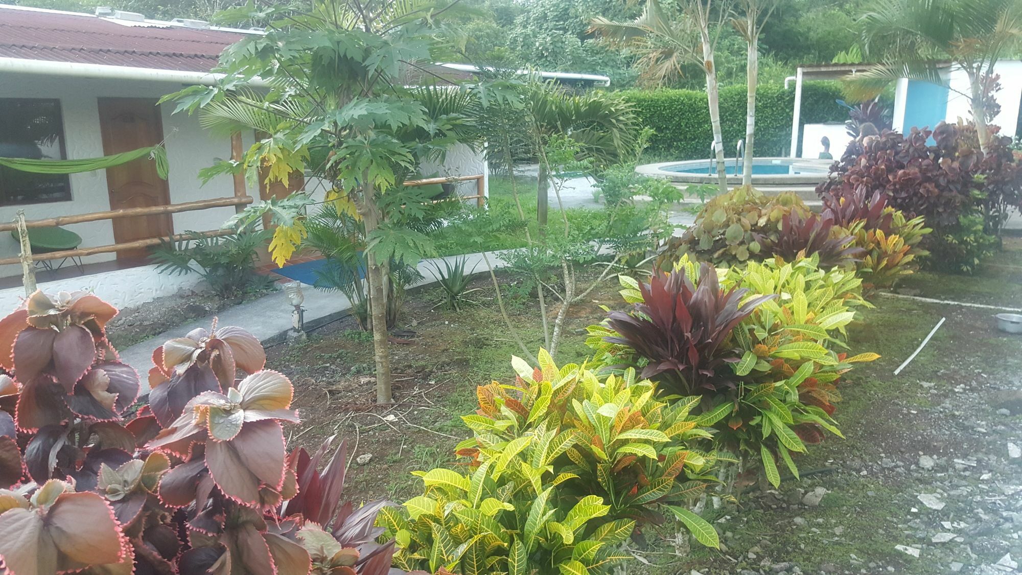 Hotel Twin Galapagos ปูแอร์โตอาโยรา ภายนอก รูปภาพ